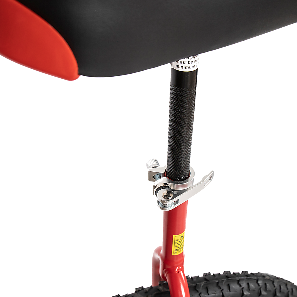 Circus Unicycle Bike 24'' Pro