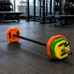 Standard Rubber Coloured Barbell 20kg