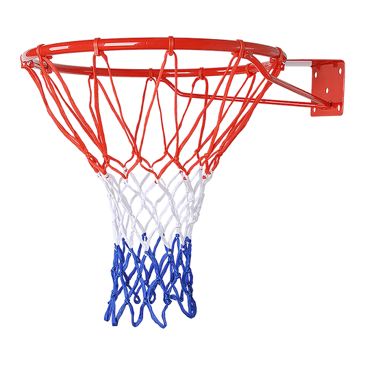 Wall Mounted Basketball Hoop Pro Size with Ring, Goal Net, Rim for Outdoor Dunking