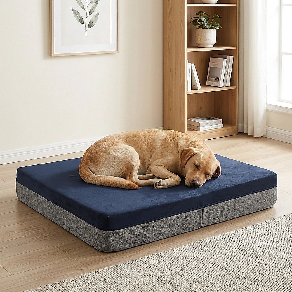 Memory Foam Dog Bed 15cm Thick Large Orthopedic Waterproof Pet Bed 826461