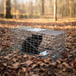 Trap Humane Possum Cage Live Animal Safe Catch Rabbit Cat Hare Fox Bird