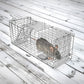 Trap Humane Possum Cage Live Animal Safe Catch Rabbit Cat Hare Fox Bird