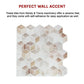 Peel and Stick Wall Tile 3D Shell Mosaic (30cm x 30cm x 10 sheets)