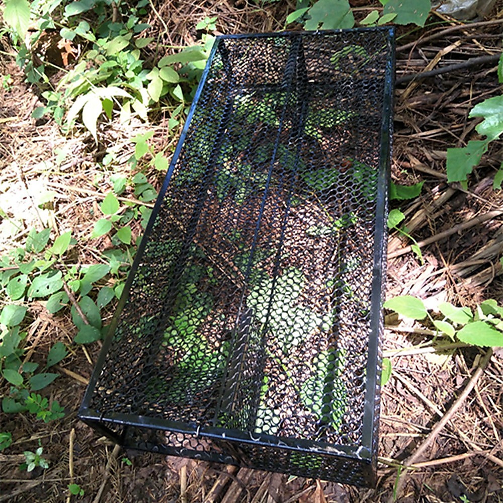 Humane Snake Trap - Remove Small to Medium Snakes, 2 Doors