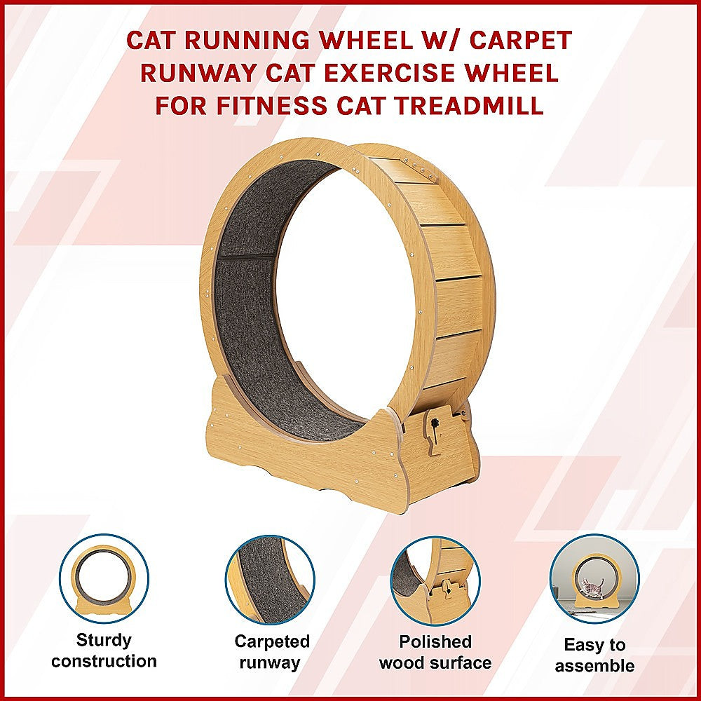 Cat Running Wheel Carpet Runway Exercise Fitness Treadmill