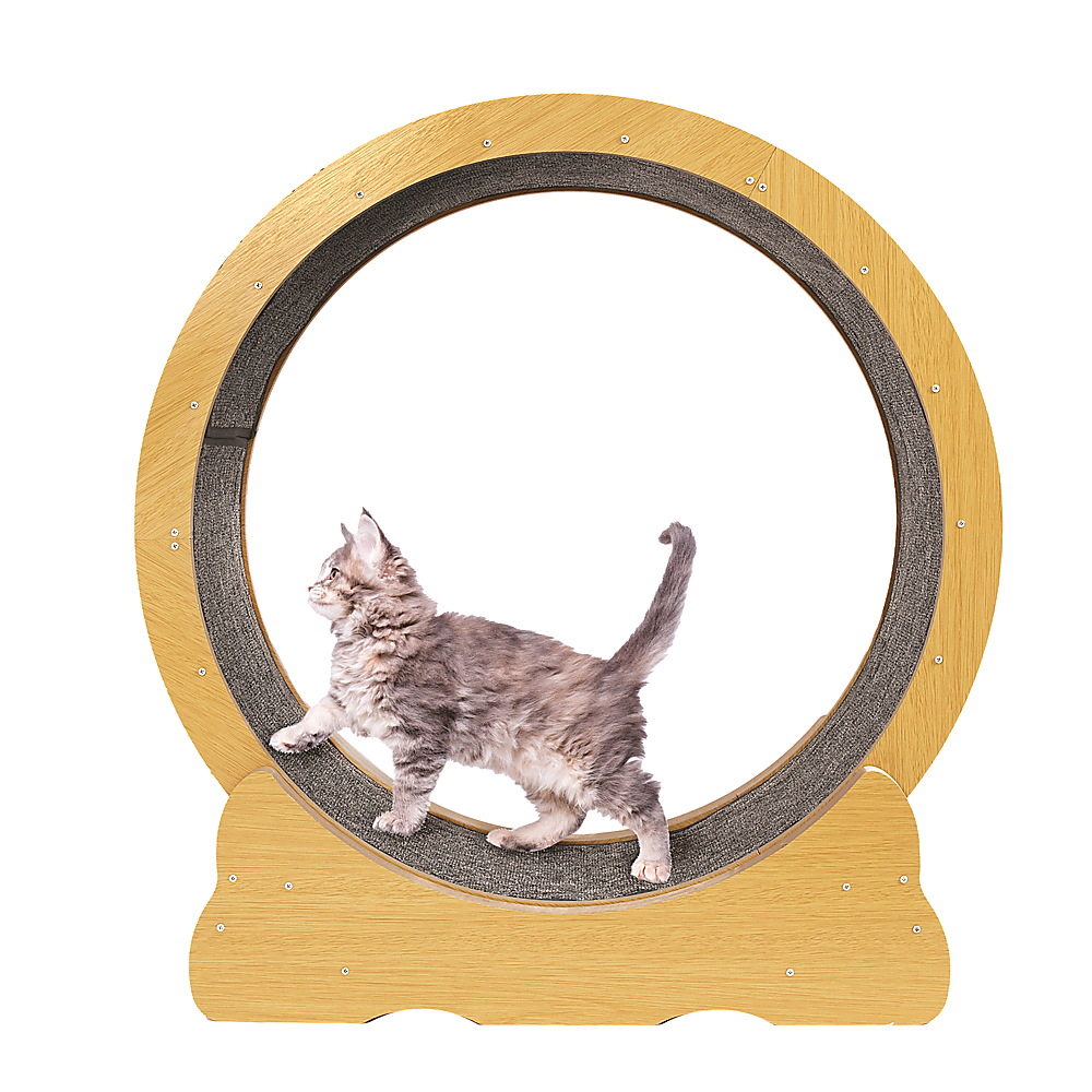 Cat Running Wheel Carpet Runway Exercise Fitness Treadmill