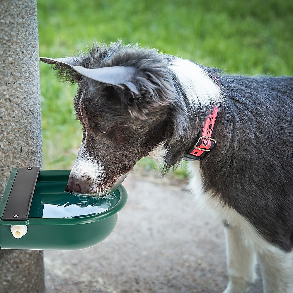 Water Trough Bowl 4L with Automatic Float Valve