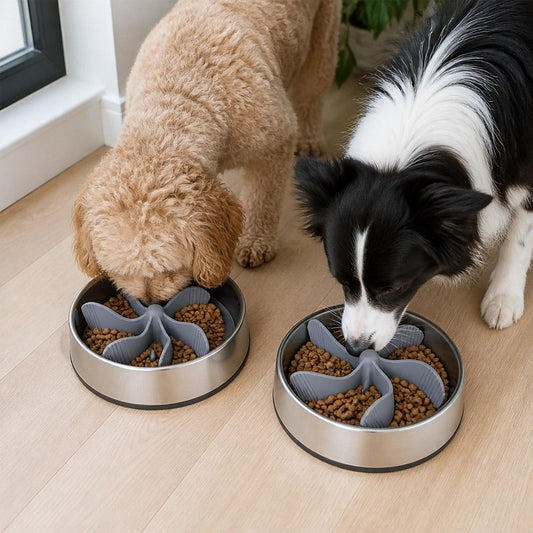 Dog Bowl Slow Feeder Insert (2 Pack)
