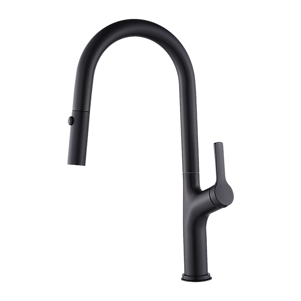 Kitchen Laundry Bathroom Basin Sink Pull Out Mixer Tap Faucet in Black