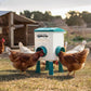 Chicken Feeder Water Food Treadle Poultry Feeder - 12KG Capacity, 11L