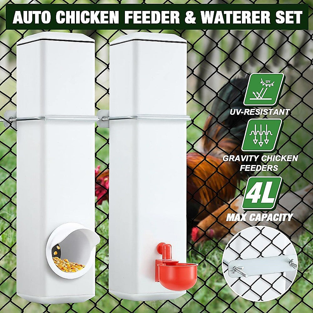 Chicken Bird Feeder Water Dispenser - Automatic Waterer Poultry Food Drinker 4L