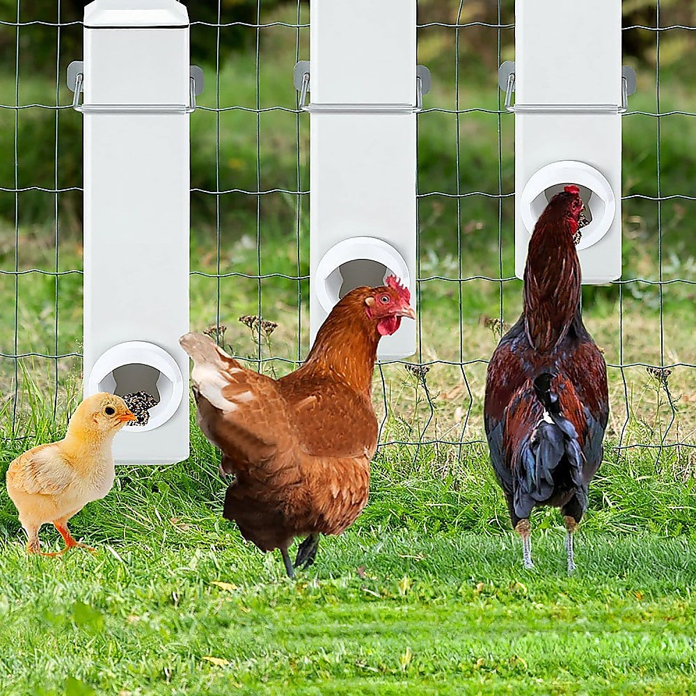 Chicken Bird Feeder Water Dispenser - Automatic Waterer Poultry Food Drinker 4L