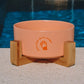Pet Ceramic Bowl with Wooden Stand