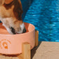 Pet Ceramic Bowl with Wooden Stand