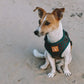 Designer Dog Harness