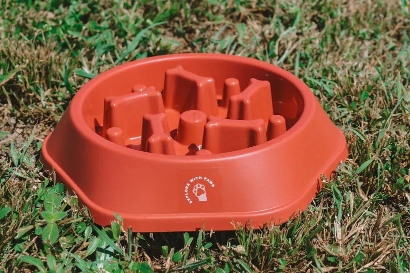 Raspberry red slow feeder pet bowl with raised maze-like channels on grass