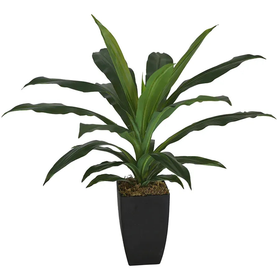 Potted Artificial Faux Janet Craig Dracaena 58cm