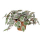 Potted Artificial Wandering Dude Plant 40cm