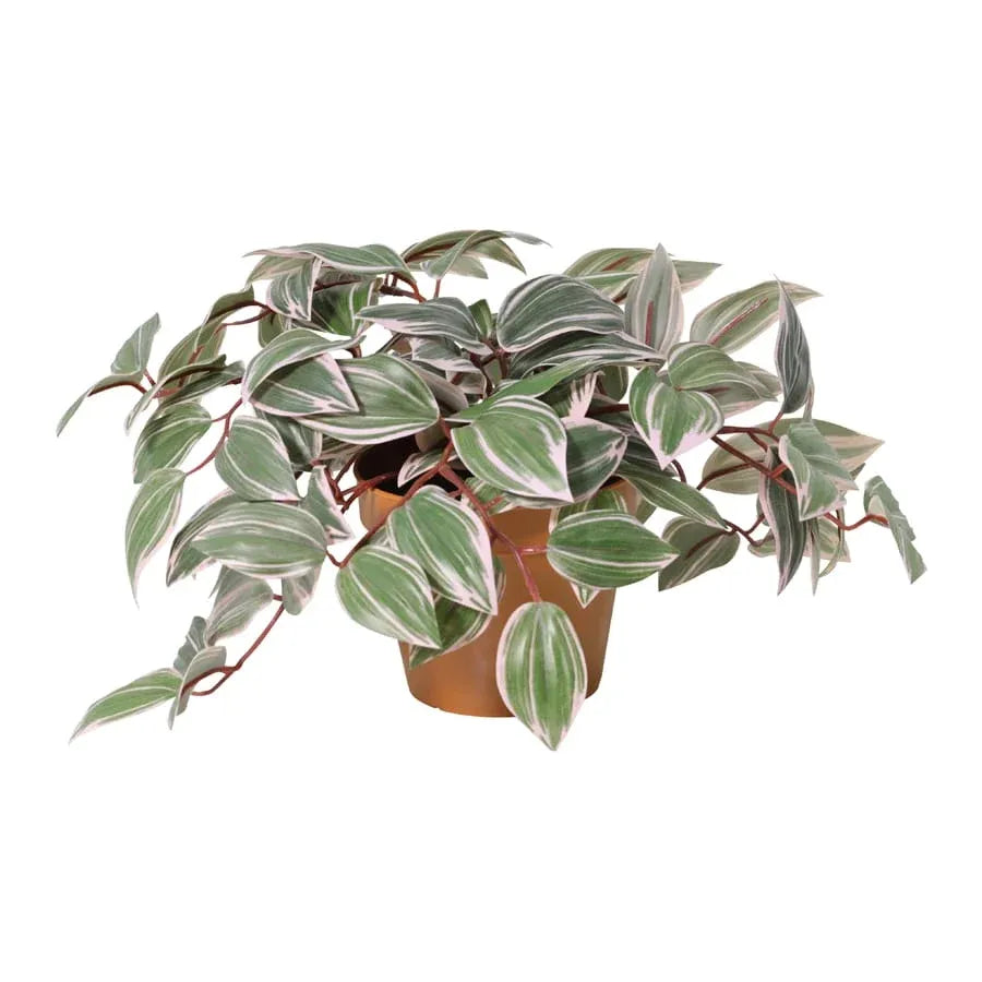 Potted Artificial Wandering Dude Plant 40cm