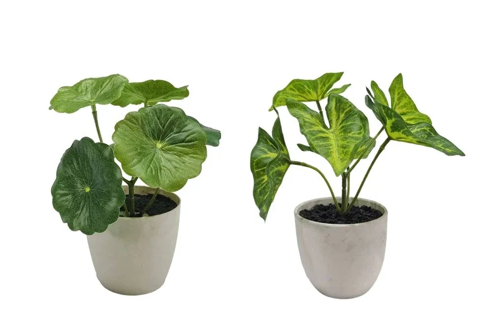 Set 2 Artificial Taro & Lotus Plant In Plastic Pot 7x15cm