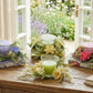 bulk 12 Botanical Bloom Scent Candle Gift Set 120G 3 Asst