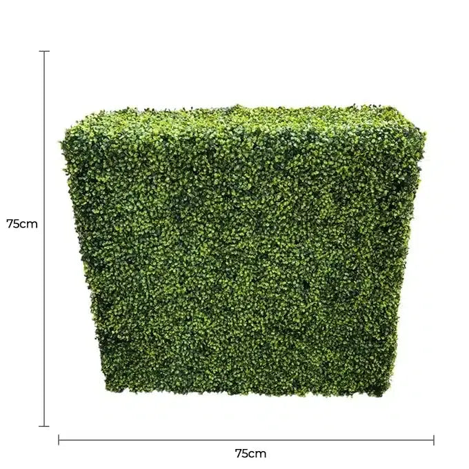 Mixed Boxwood Hedge UV Resistant 75cm Long x 75cm High