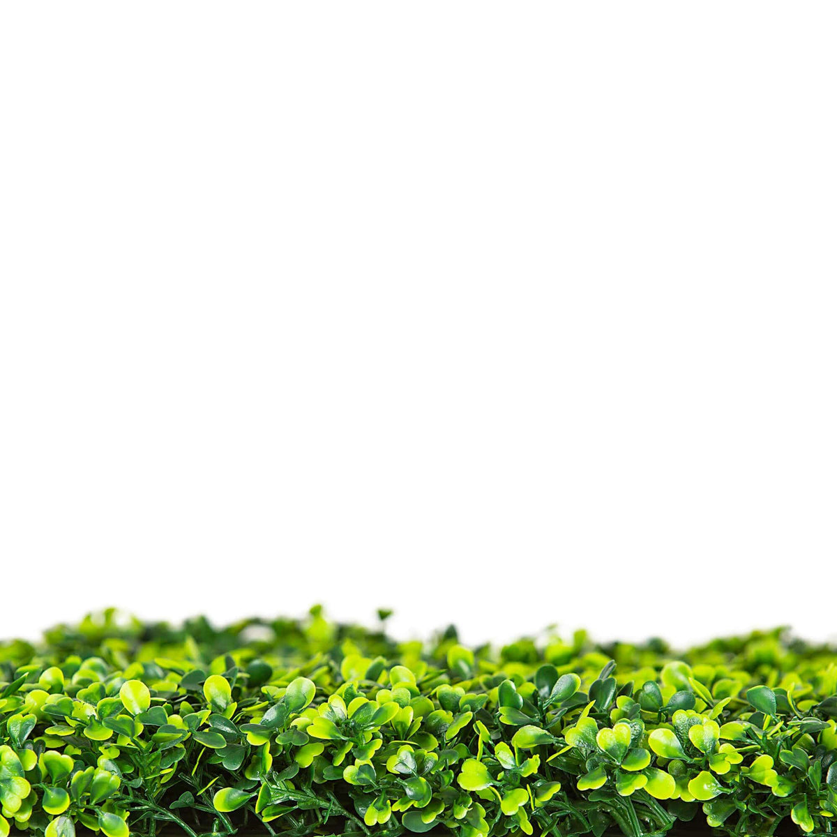 Mixed Boxwood Hedge UV Resistant 75cm Long x 75cm High