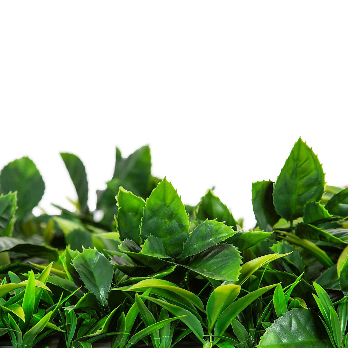 Flowering Lilac Vertical Garden / Green Wall UV Resistant Sample