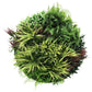 Slimline Artificial Green Wall Disc Art 80cm Grassy Fern UV Resistant (White)