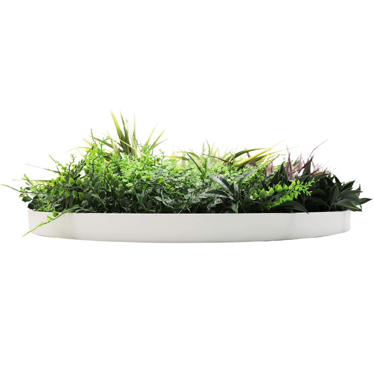 Slimline Artificial Green Wall Disc Art 80cm Grassy Fern UV Resistant (White)