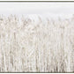Pampas Grass Framed Canvas Wall Art 120cm
