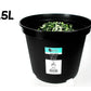 bulk 24 Large Garden Planter Pots 7.5Lt 25cm