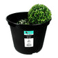 bulk 24 Large Garden Planter Pots 10Lt 28cm