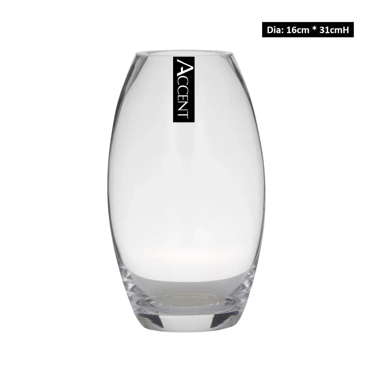 bulk 6 Round Belly Glass Vase Flower 31cm