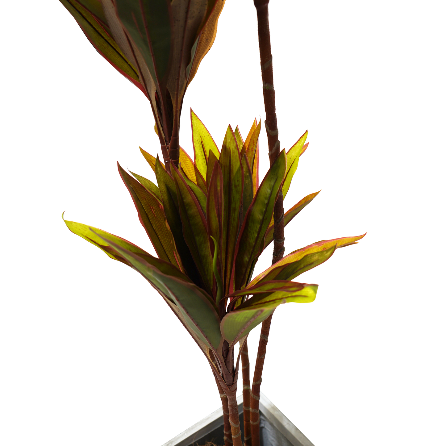 Faux Cordyline Fruticosa Tree Artificial Plant