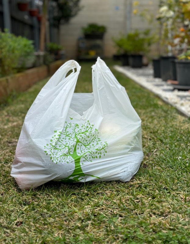 Reusable Carry Bags Eco Plastic Bags Wholesale Printed Carry Bag Small (1000 Pcs), Wholesale White Color