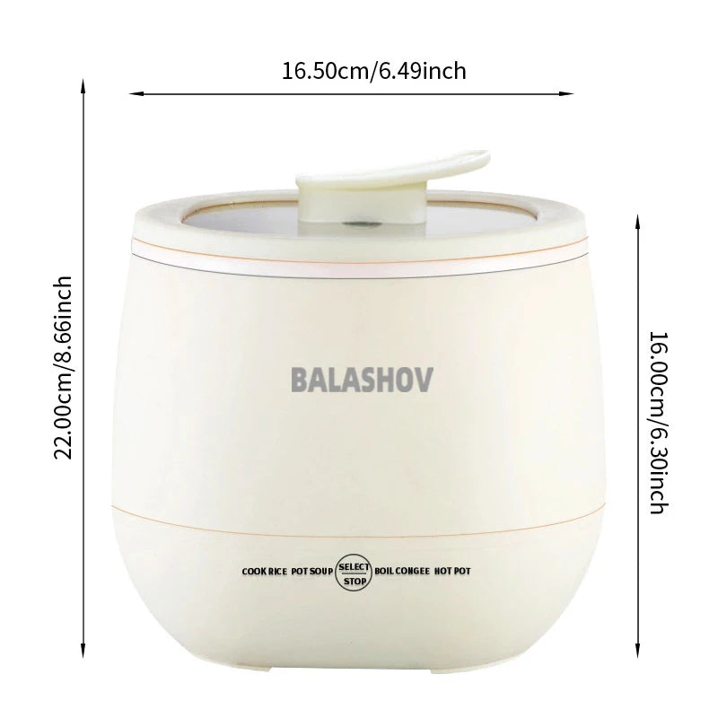 Mini Rice Cooker 1.8L Multifunctional