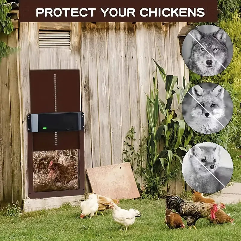 Automatic Chicken Coop Door PCS Light-Sensitive Auto Guard for Morning & Night