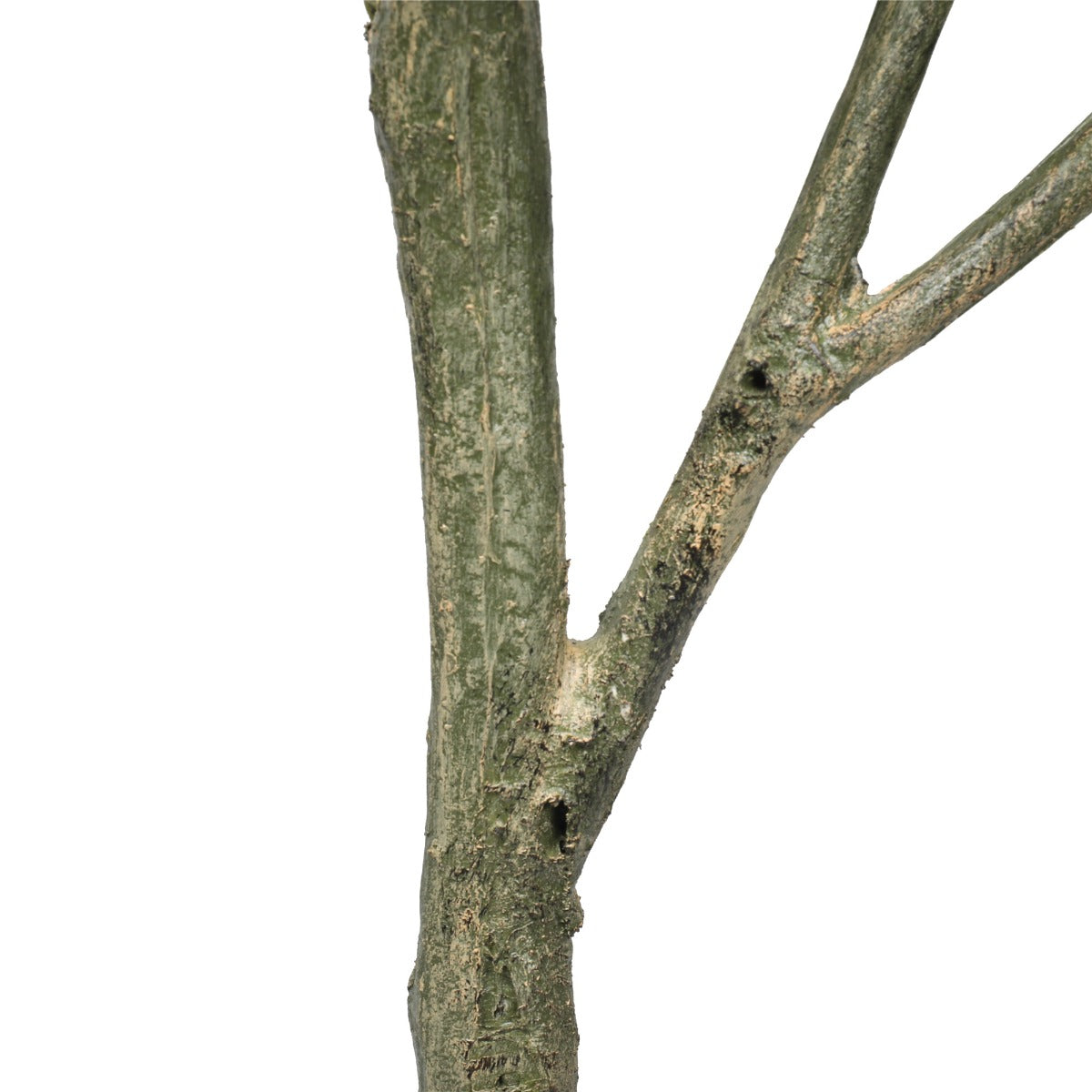 Lemon Tree (Potted) with Lemons 150cm