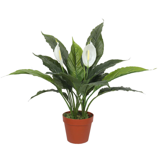 Artificial Spathiphyllum Peace Lily Plant with White Flowers - 60cm