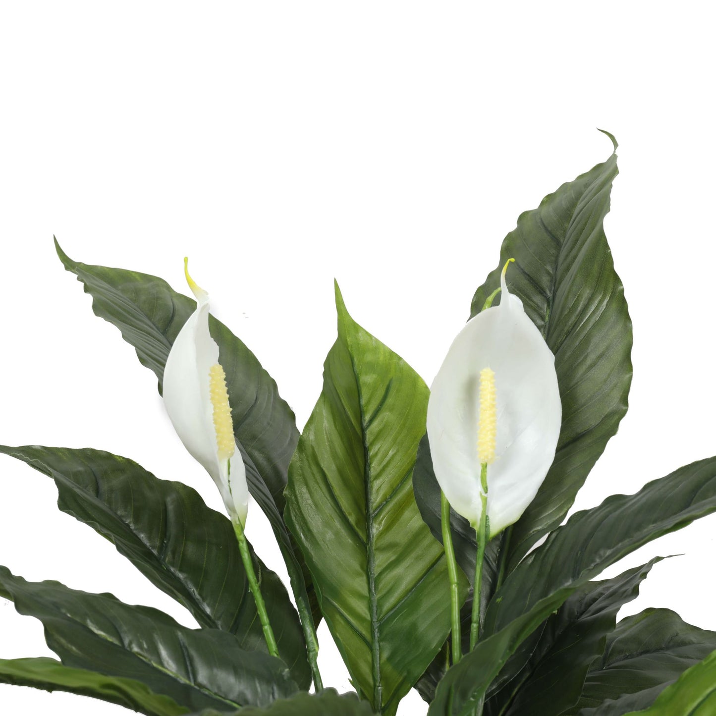 Artificial Spathiphyllum Peace Lily Plant with White Flowers - 60cm