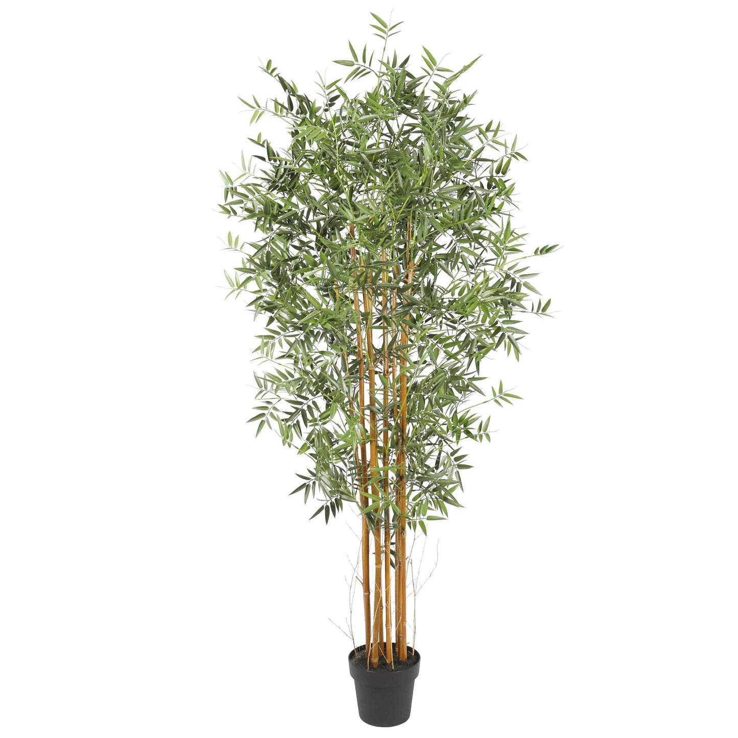 Premium Natural Cane Artificial Bamboo - UV Resistant 180CM