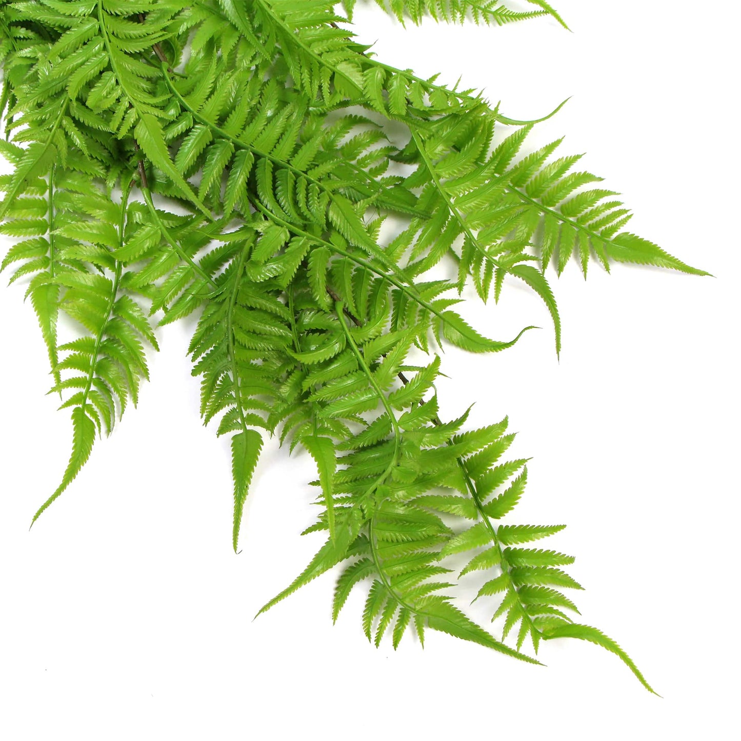 Artificial Hanging English Fern (Two-Tone) Foliage UV Resistant - 80CM