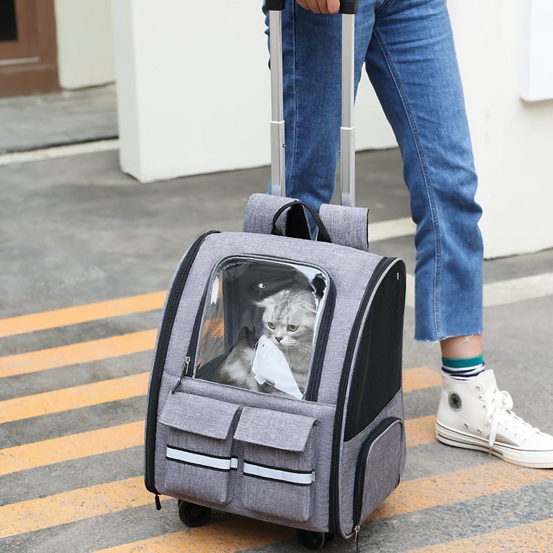 light Blue 3-in-1 Pet Carrier: Rolling Backpack with Collapsible Design