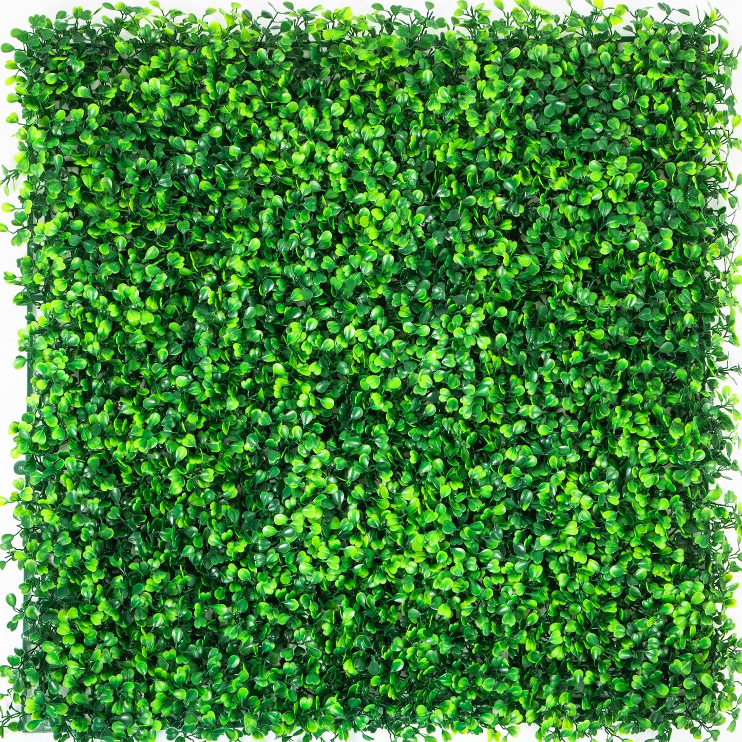 VEVOR Artificial Boxwood Panels, 12 PCS 20"x20" Boxwood Hedge Wall Panels, PE Artificial Grass Backdrop Wall 1.6\", Privacy Hedge Screen for Decoration of Outdoor, Indoor, Garden, Fence, and Backyar