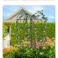 VEVOR 2 Packs Metal Garden Trellis for Climbing Plant Support 71x20 in Rustproof