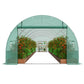 VEVOR Walk-in Tunnel Greenhouse 29.2x9.7x6.5ft Galvanized Frame PE Cover Green