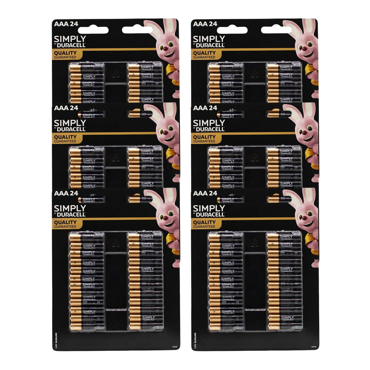 Duracell AAA Batteries 24pk x6
