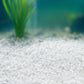 Showmaster Aussie White Aquariam Sand 5kg