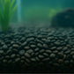 Showmaster 4-6mm Black Pebbles 5kg